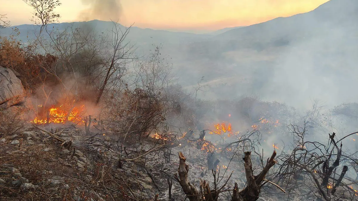 Incendio forestal